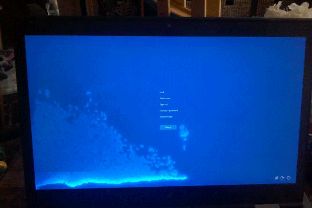 ترک خوردن یا سیاه شدن LCD|فروشگاه سبحان رایانه